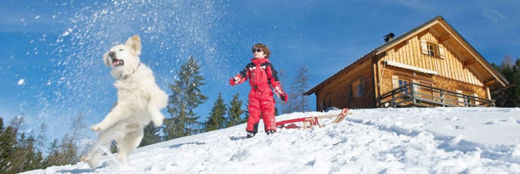 Wintersportvakantie met hond-header